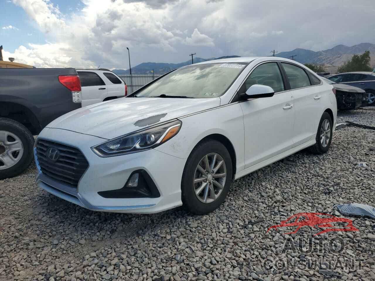 HYUNDAI SONATA 2019 - 5NPE24AF3KH755496