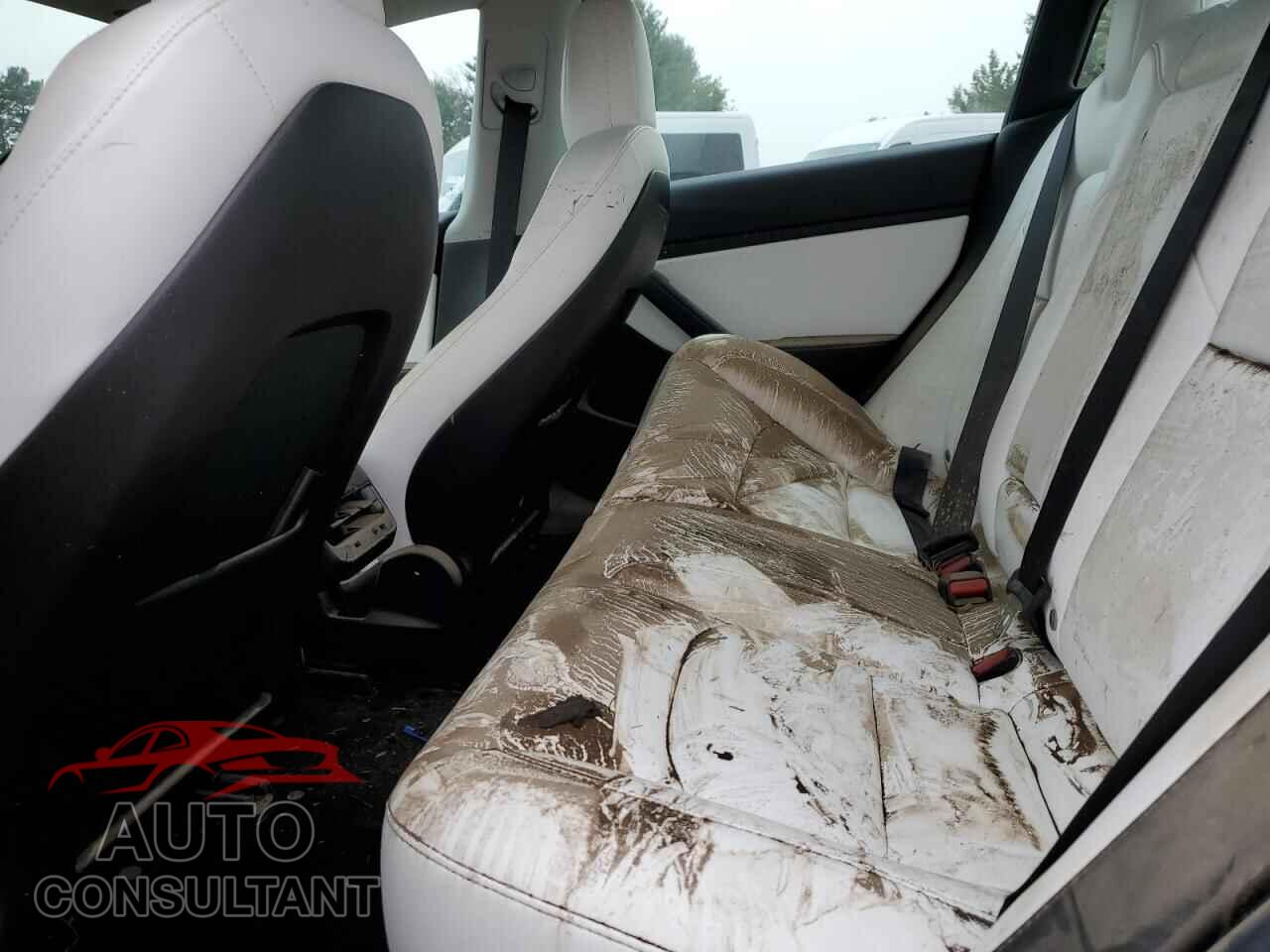 TESLA MODEL 3 2019 - 5YJ3E1EB7KF390775