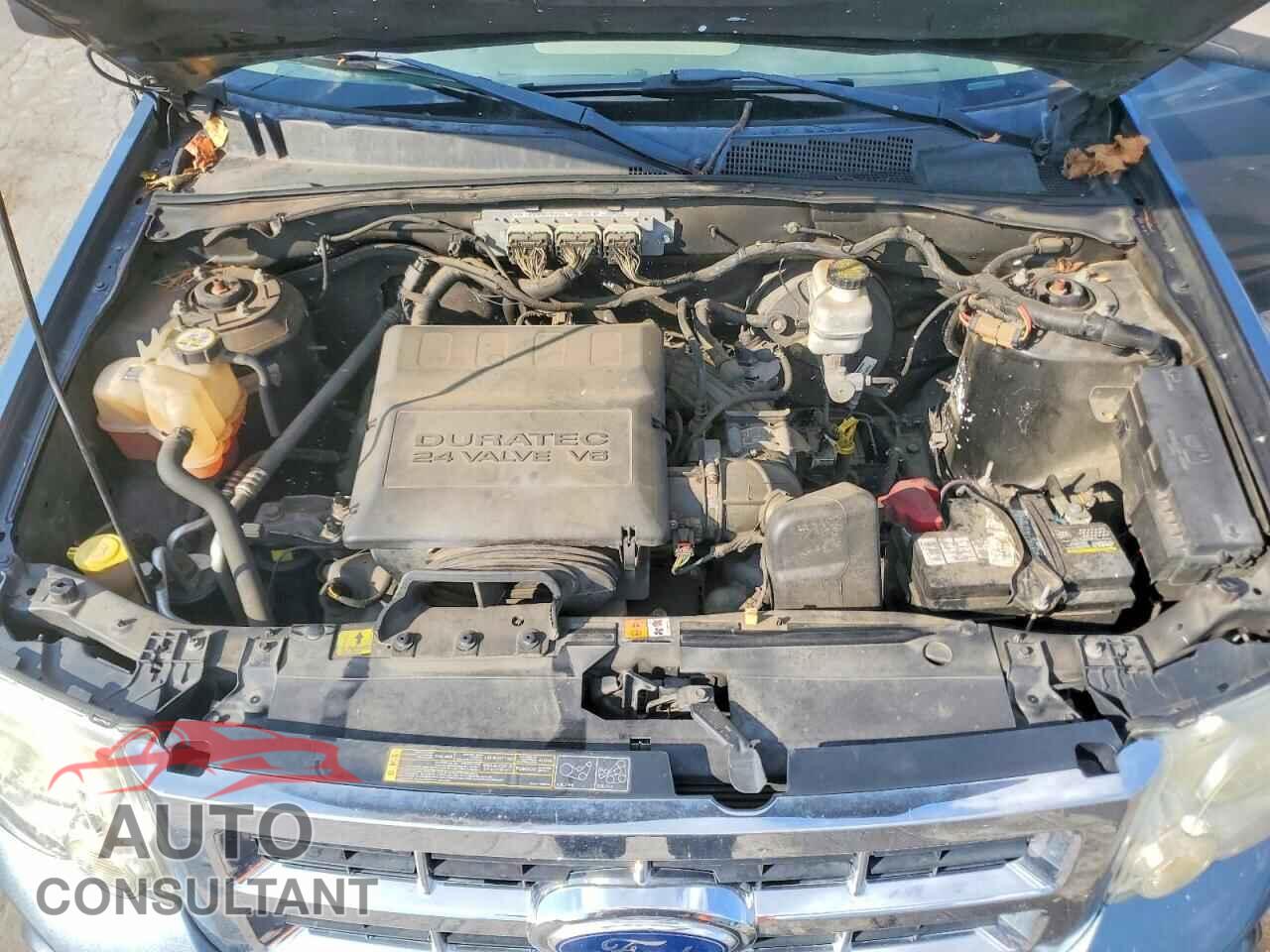 FORD ESCAPE 2012 - 1FMCU0DGXCKA47520
