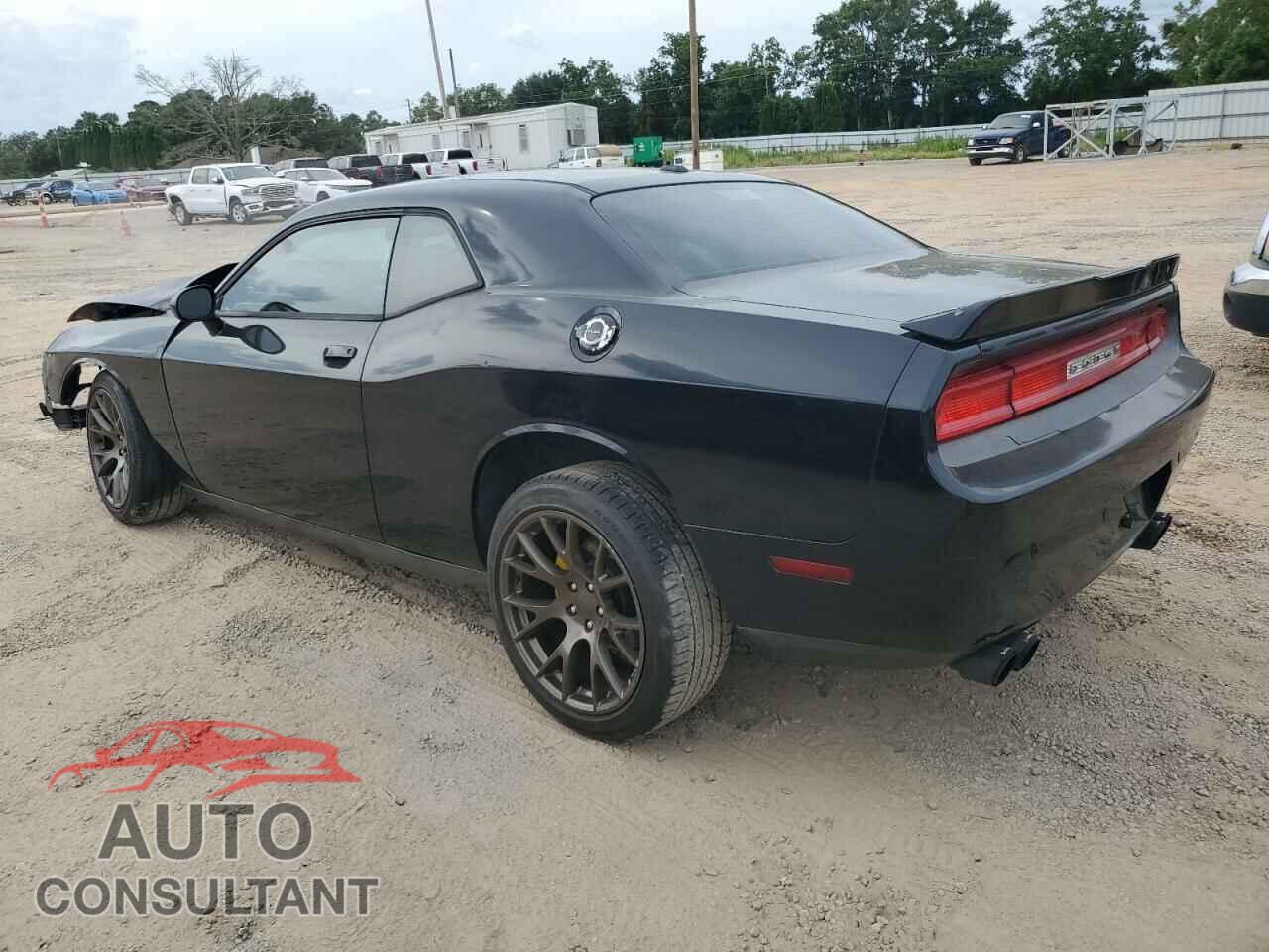 DODGE CHALLENGER 2013 - 2C3CDYAG7DH734202