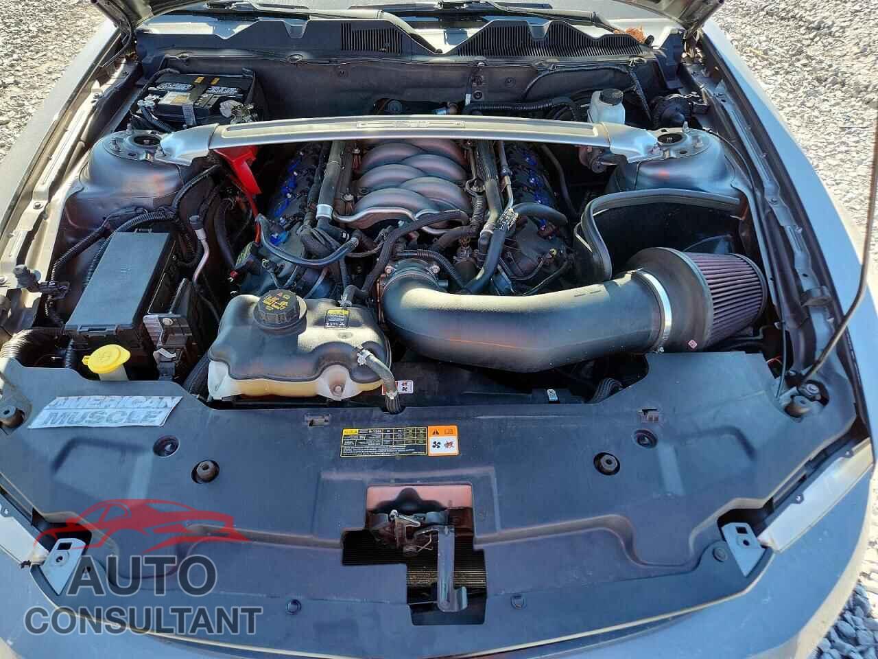 FORD MUSTANG 2011 - 1ZVBP8CF0B5155508
