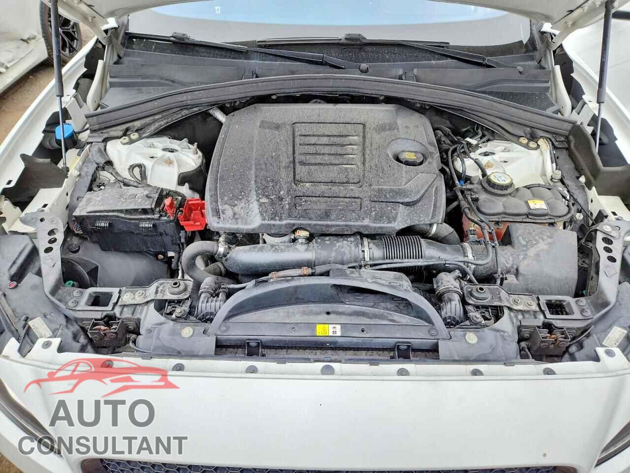 JAGUAR F-PACE 2019 - SADCK2FX1KA361004