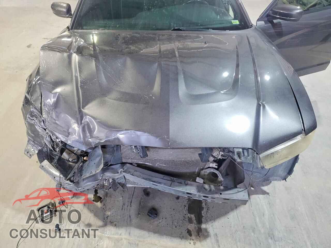 DODGE CHARGER 2014 - 2C3CDXCT5EH125762