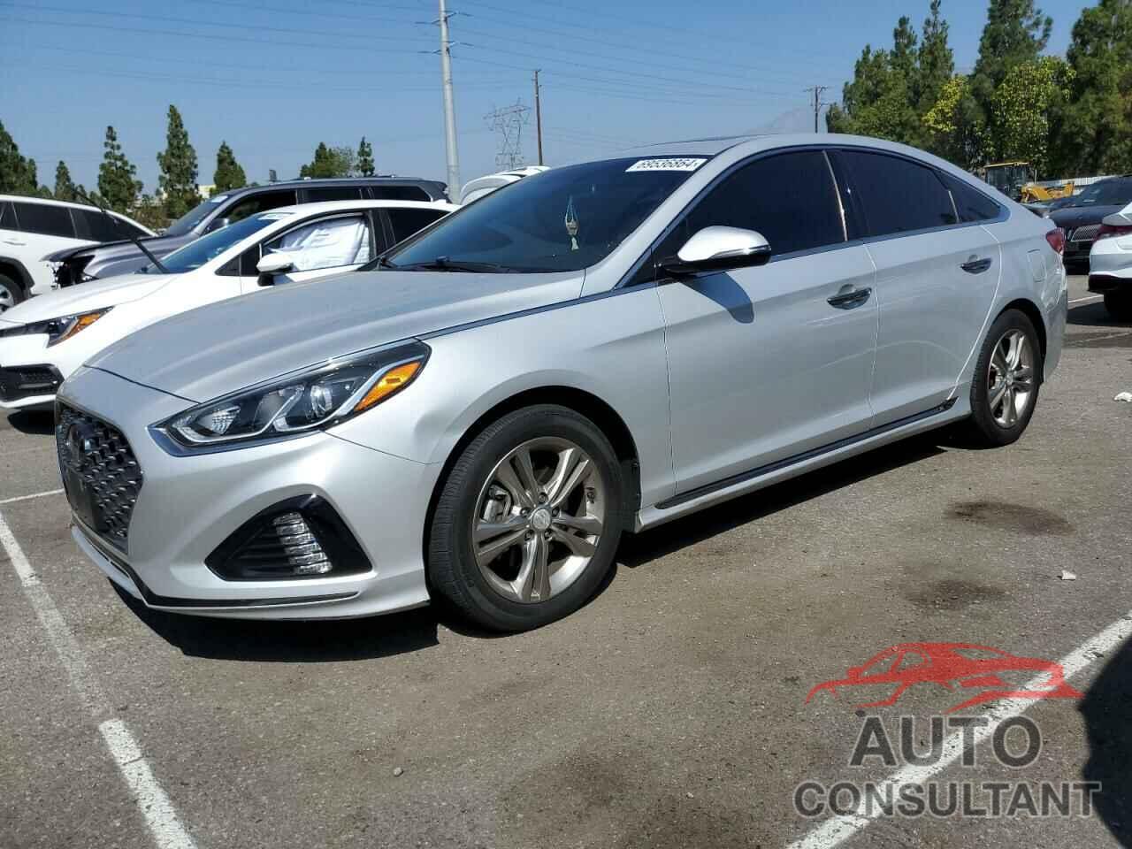 HYUNDAI SONATA 2019 - 5NPE34AF8KH808268