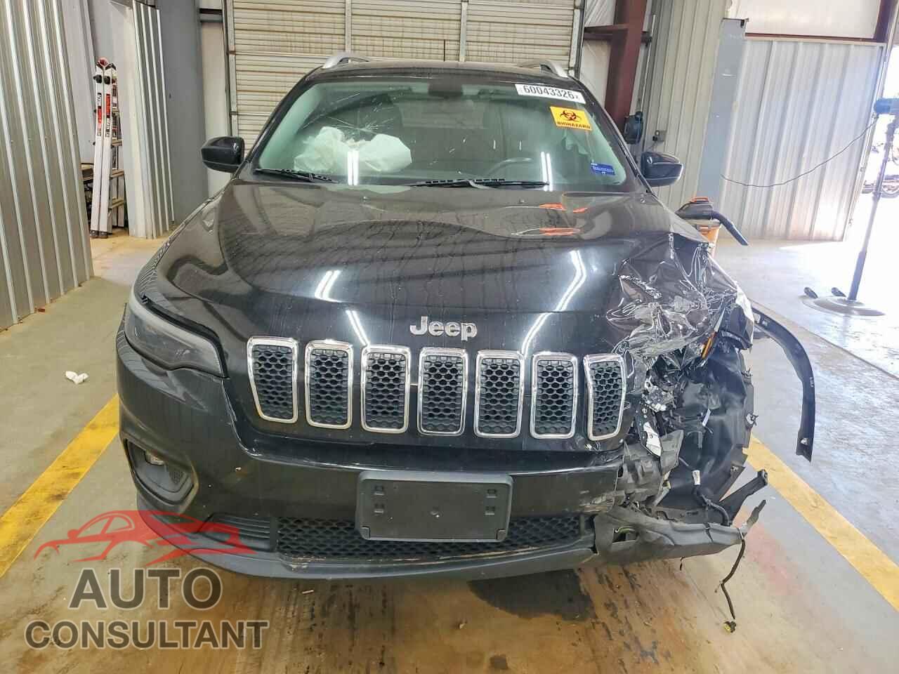 JEEP CHEROKEE 2019 - 1C4PJMLB8KD199438
