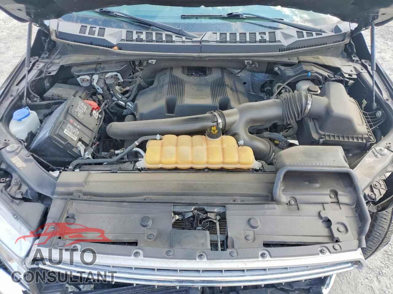 FORD UNKNOWN 2020 - 1FTEW1E4XLFC20477