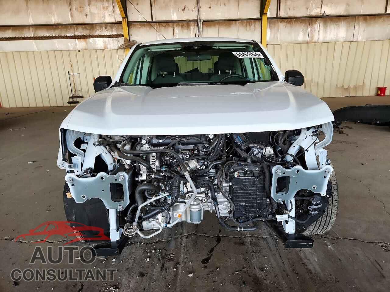 FORD MAVERICK 2025 - 3FTTW8BA2SRB26850