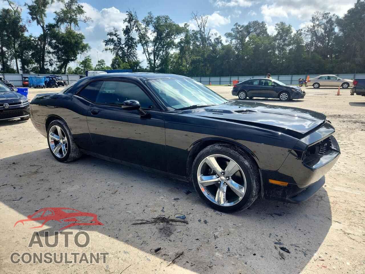 DODGE CHALLENGER 2014 - 2C3CDYBT9EH196390