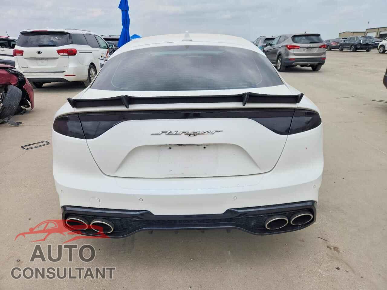 KIA STINGER 2022 - KNAE35LD5N6112271