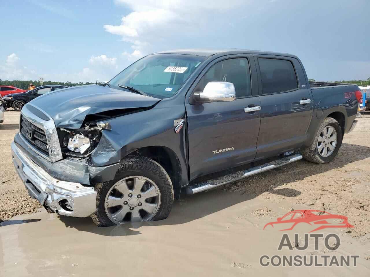 TOYOTA TUNDRA 2009 - 5TFEV54119X071798