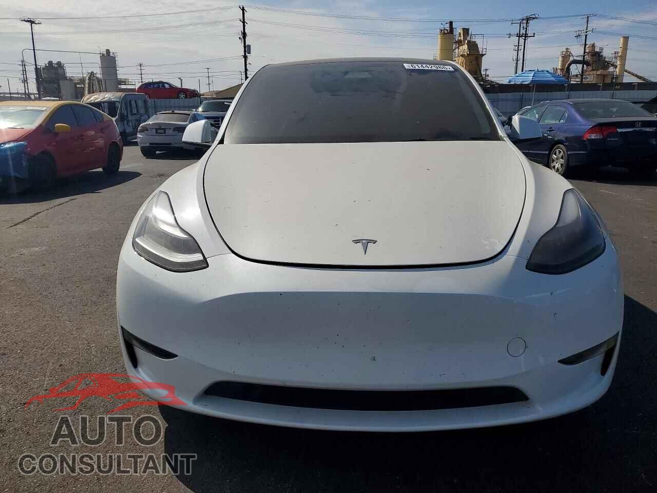 TESLA MODEL Y 2024 - 7SAYGDEF6RF128103