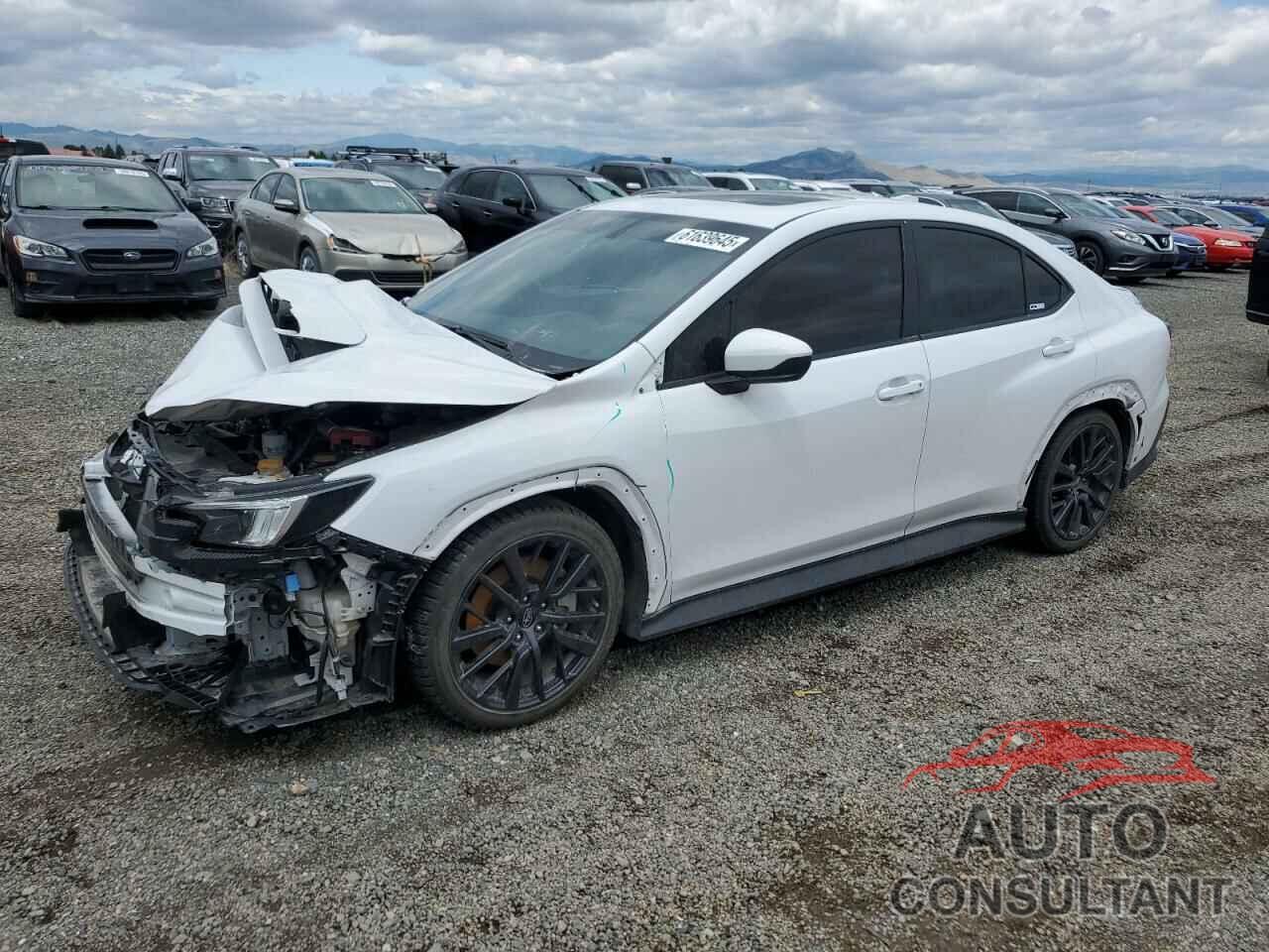 SUBARU WRX 2023 - JF1VBAF6XP9815058