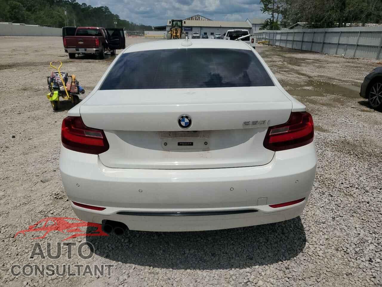 BMW 2 SERIES 2017 - WBA2F9C38HV665015