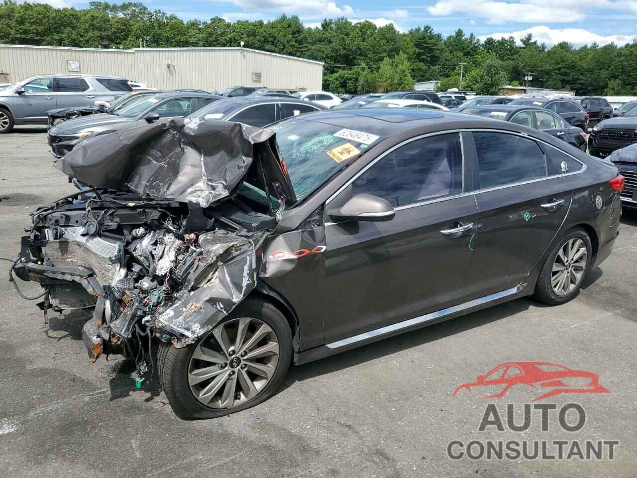 HYUNDAI SONATA 2016 - 5NPE34AF4GH431610