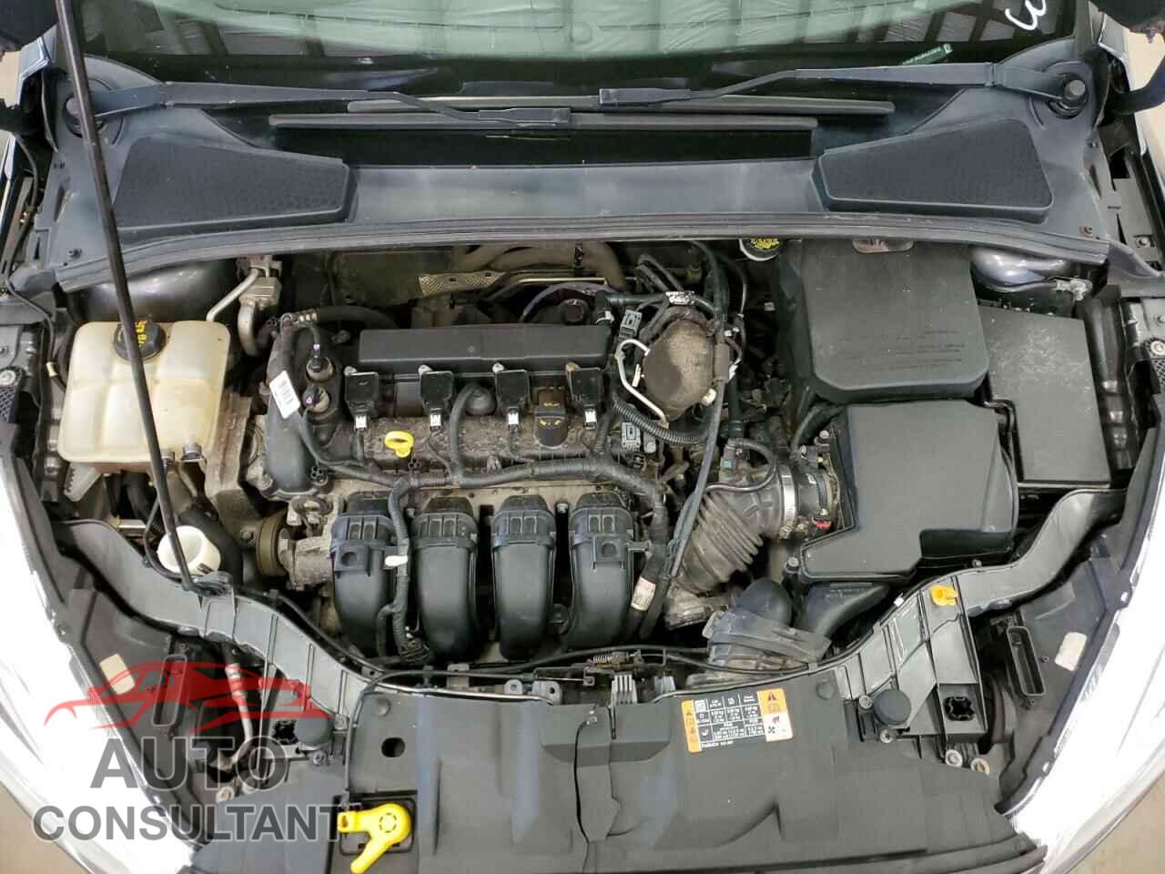 FORD FOCUS 2016 - 1FADP3K23GL213312