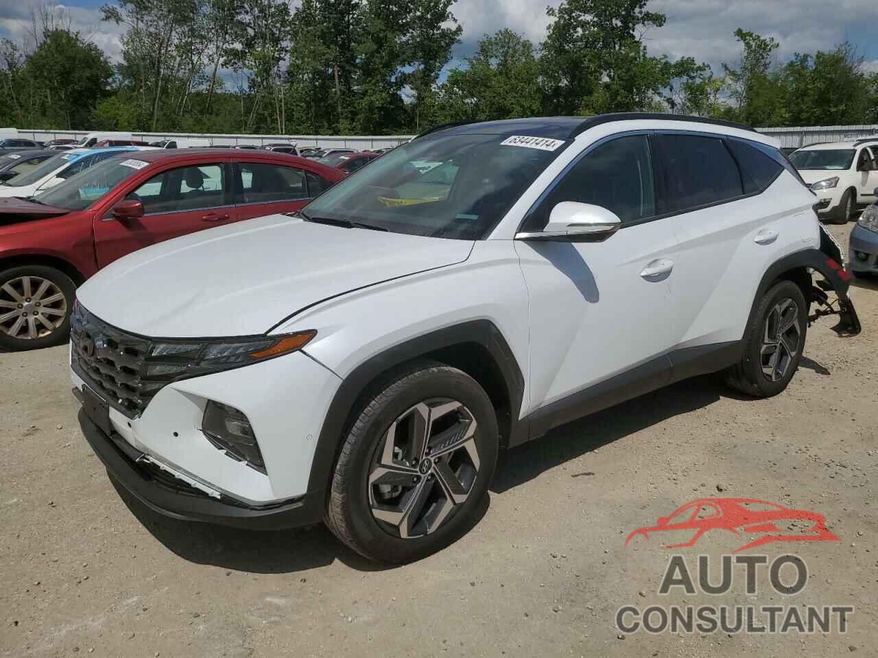 HYUNDAI TUCSON 2024 - KM8JECD12RU193599