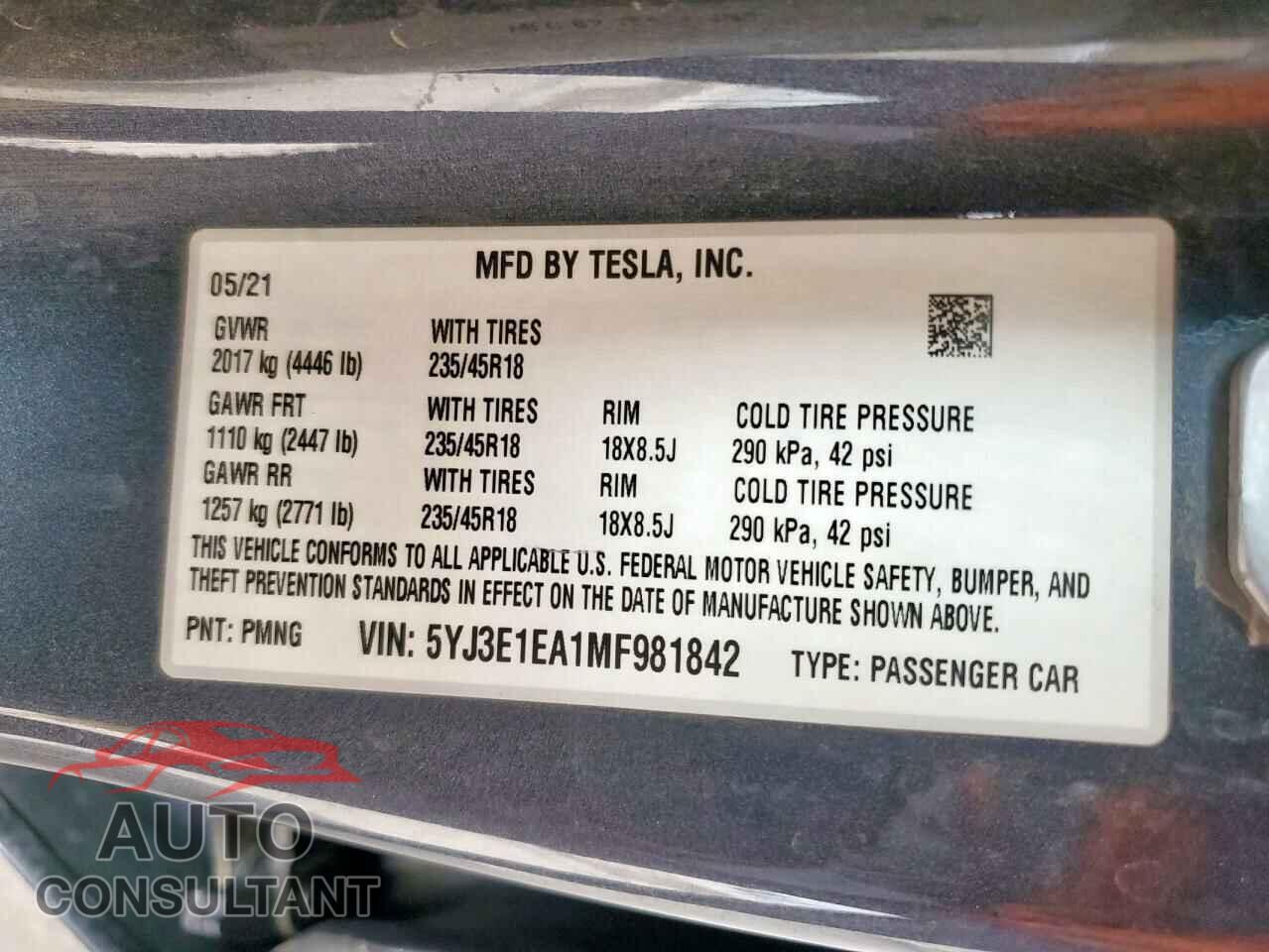 TESLA MODEL 3 2021 - 5YJ3E1EA1MF981842