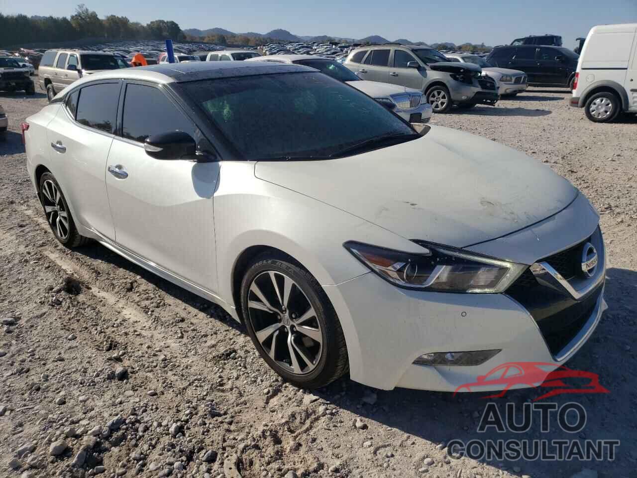 NISSAN MAXIMA 2017 - 1N4AA6AP6HC448551