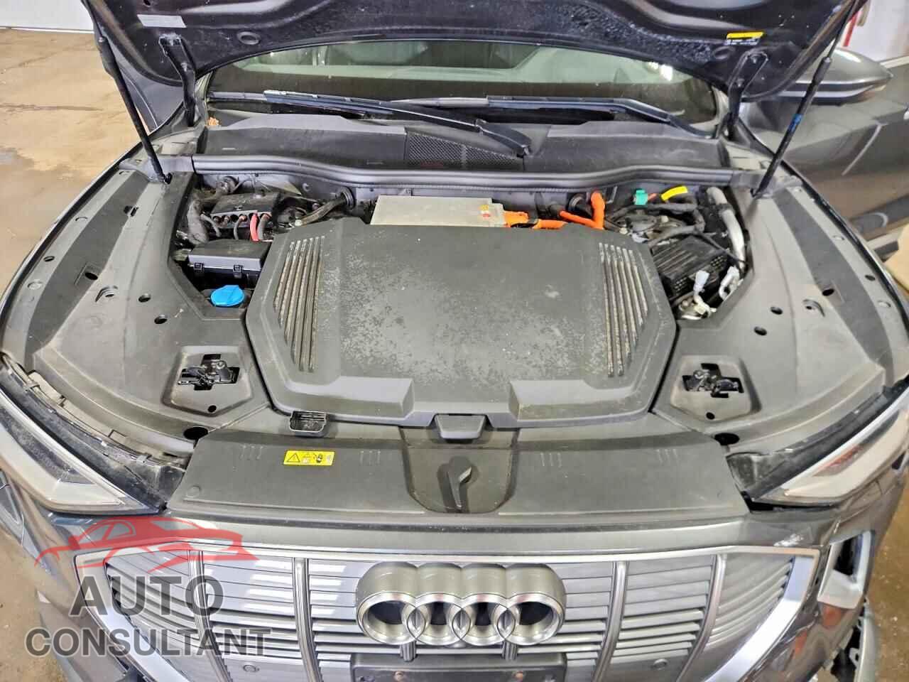 AUDI E-TRON 2019 - WA1VAAGE9KB007489