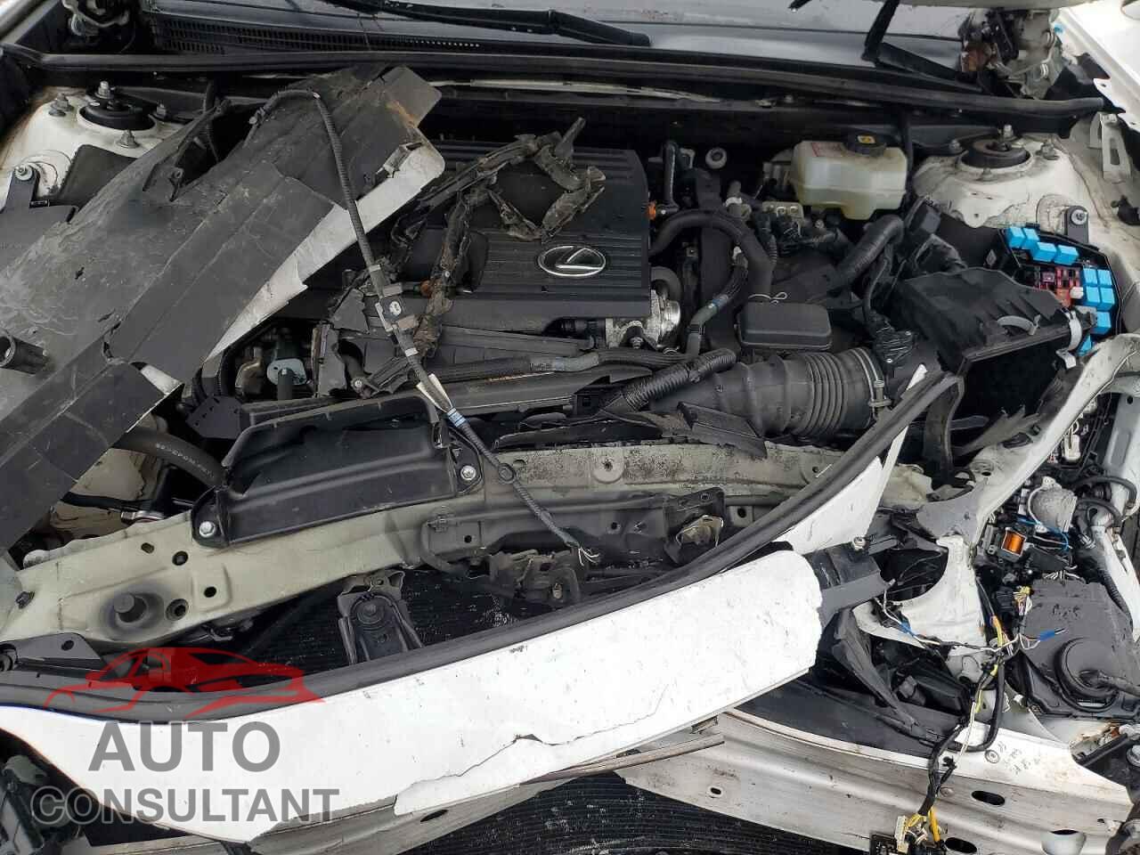 LEXUS ES 300H F 2023 - 58ABA1C19PU027205
