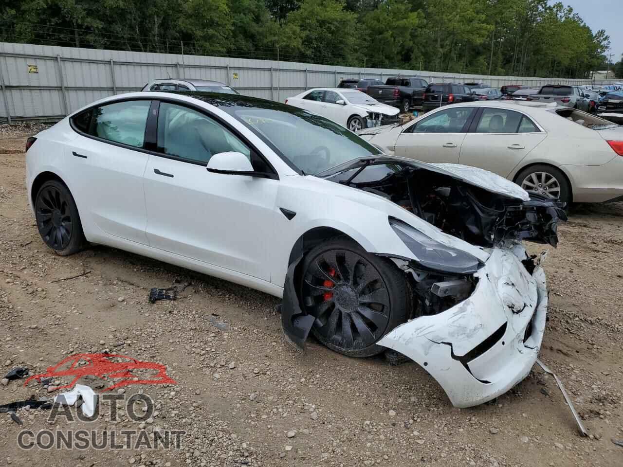 TESLA MODEL 3 2021 - 5YJ3E1EC7MF037030