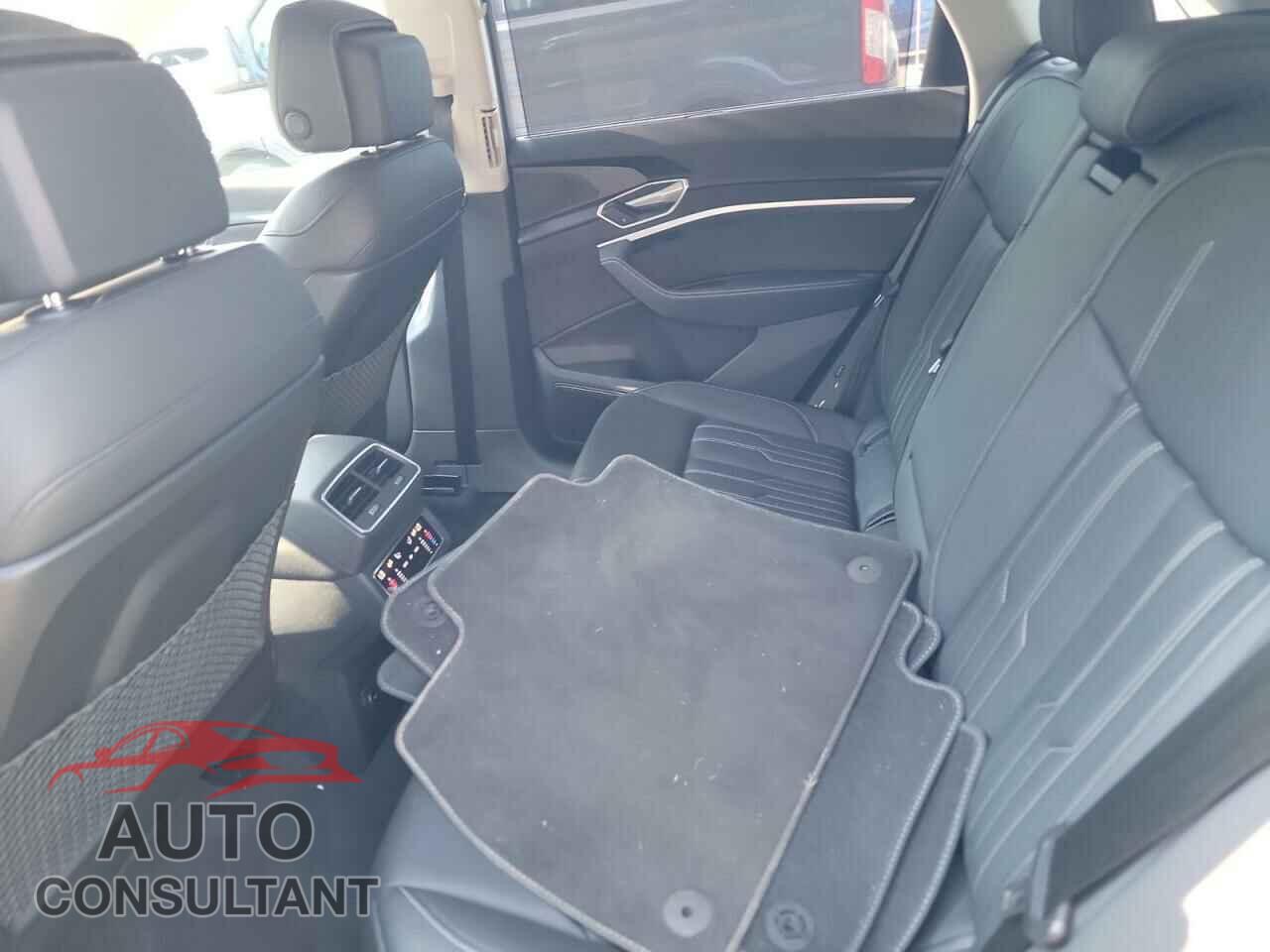 AUDI E-TRON 2019 - WA1VABGE1KB013096