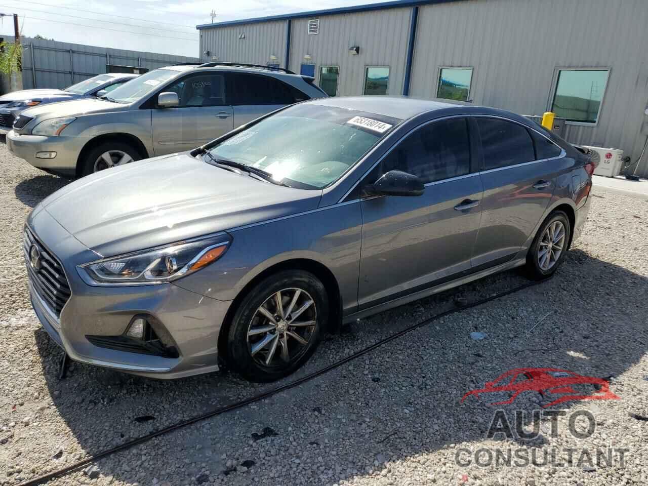 HYUNDAI SONATA 2019 - 5NPE24AF8KH803669