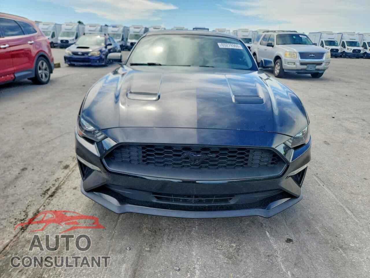 FORD MUSTANG 2019 - 1FA6P8TH2K5117077
