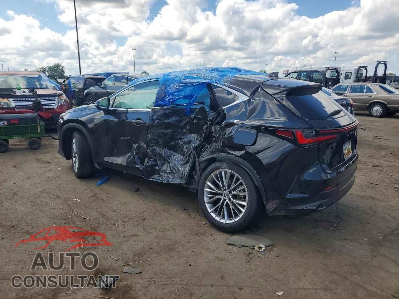 LEXUS NX 2025 - 2T2HKCEZ4SC053682