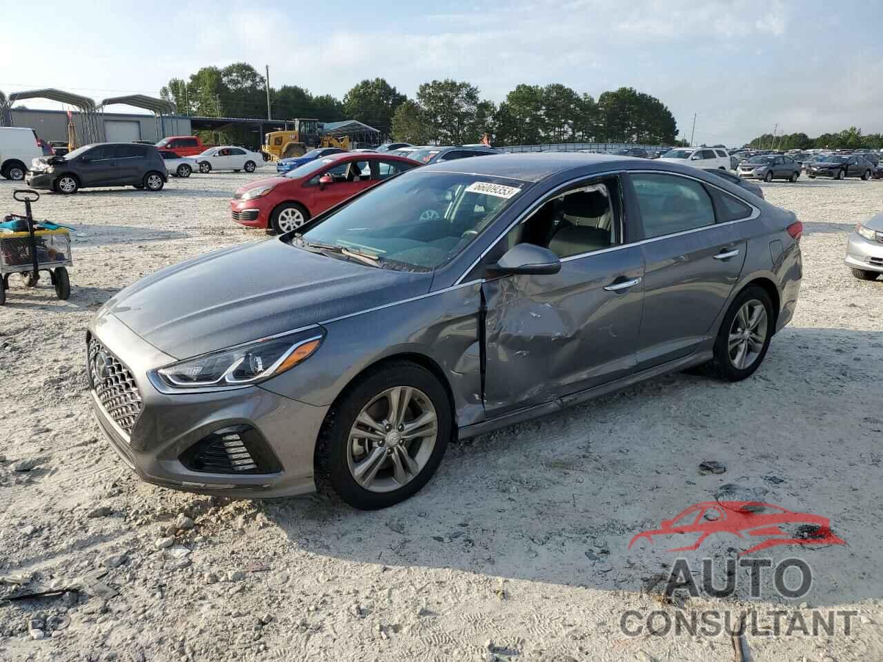 HYUNDAI SONATA 2019 - 5NPE34AF8KH795800