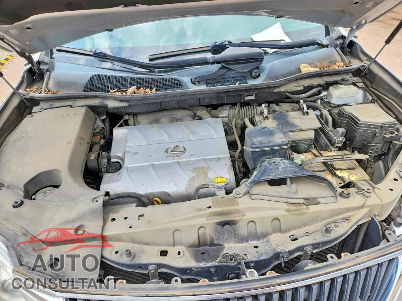 LEXUS RX350 2011 - 2T2BK1BA5BC100856