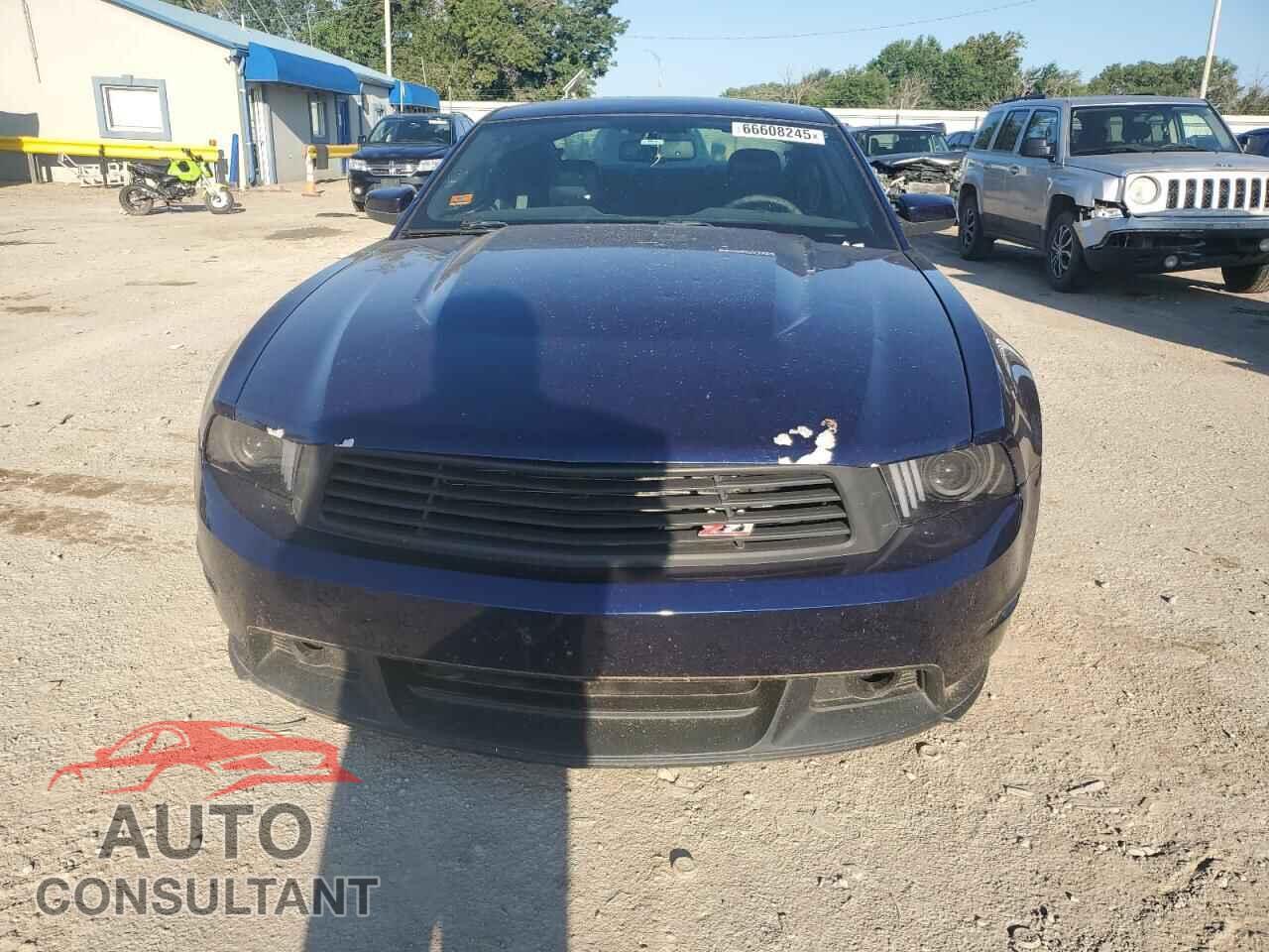FORD MUSTANG 2011 - 1ZVBP8CF8B5117248