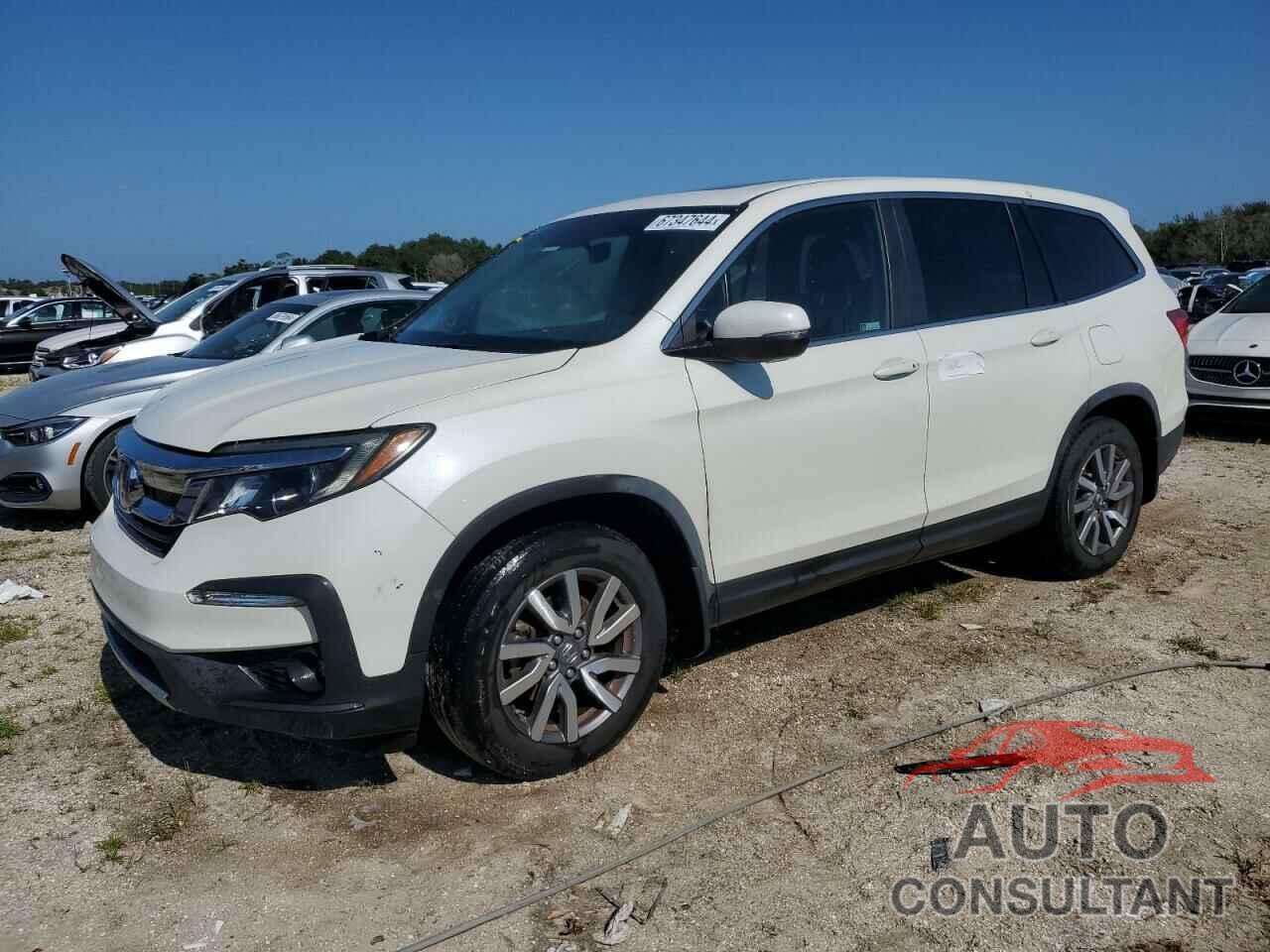 HONDA PILOT 2019 - 5FNYF5H59KB022341