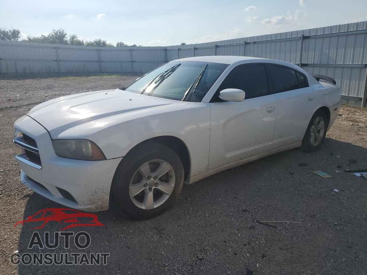 DODGE CHARGER 2014 - 2C3CDXBG0EH129805