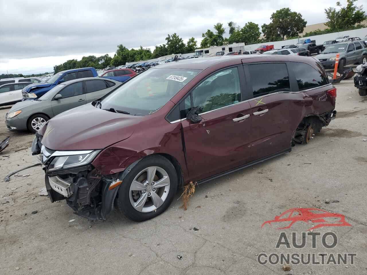 HONDA All Models 2019 - 5FNRL6H79KB023249