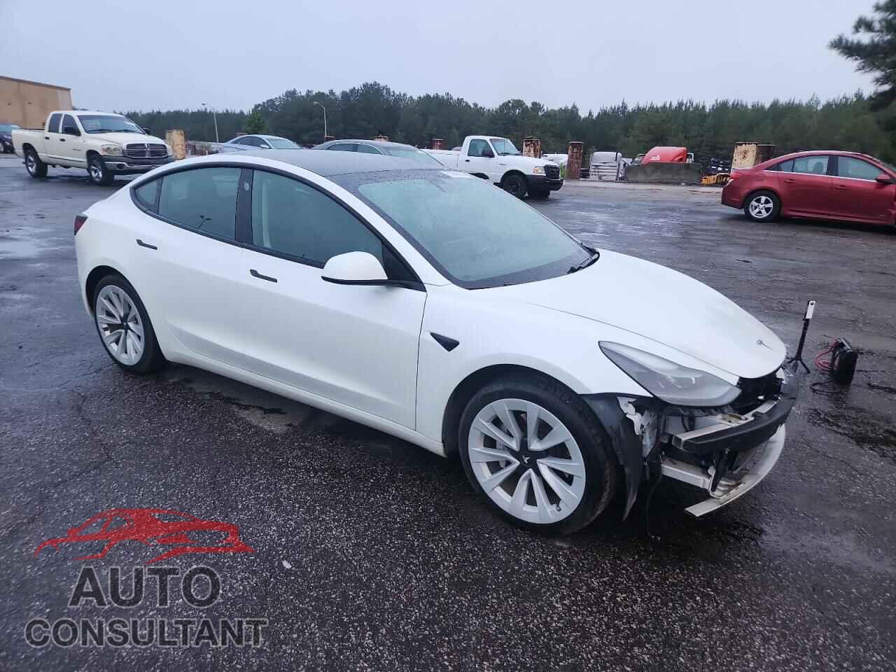 TESLA MODEL 3 2021 - 5YJ3E1EA2MF017749