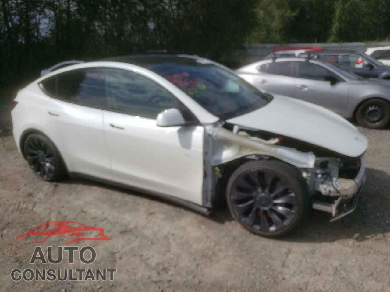 TESLA MODEL Y 2022 - 7SAYGDEF3NF560996