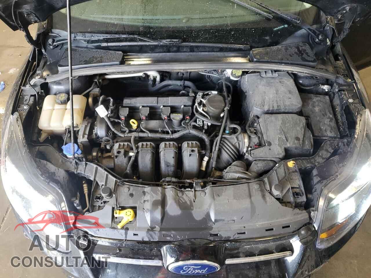 FORD FOCUS 2014 - 1FADP3J24EL338480