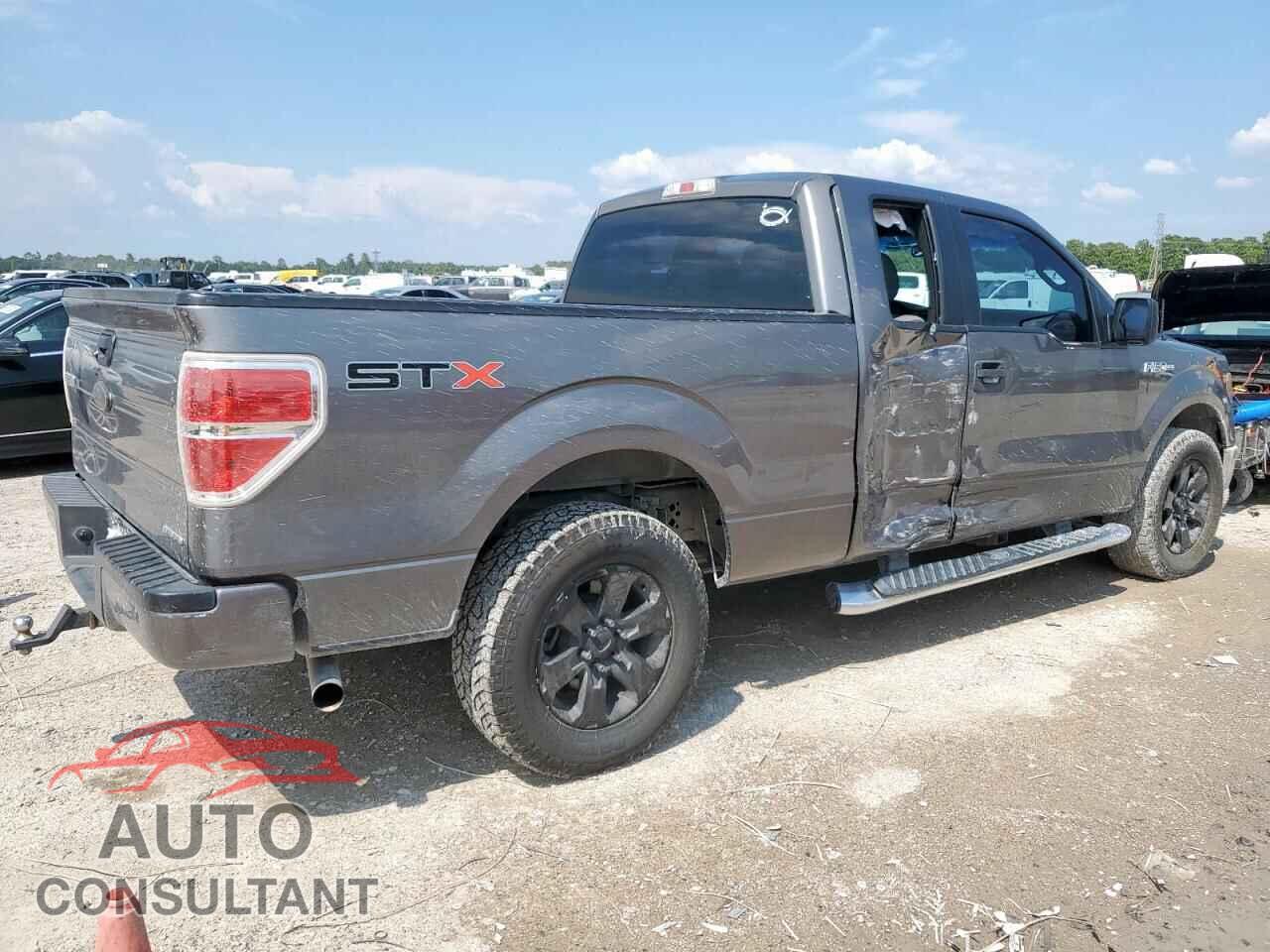 FORD F-150 2013 - 1FTFX1CF8DFD10542