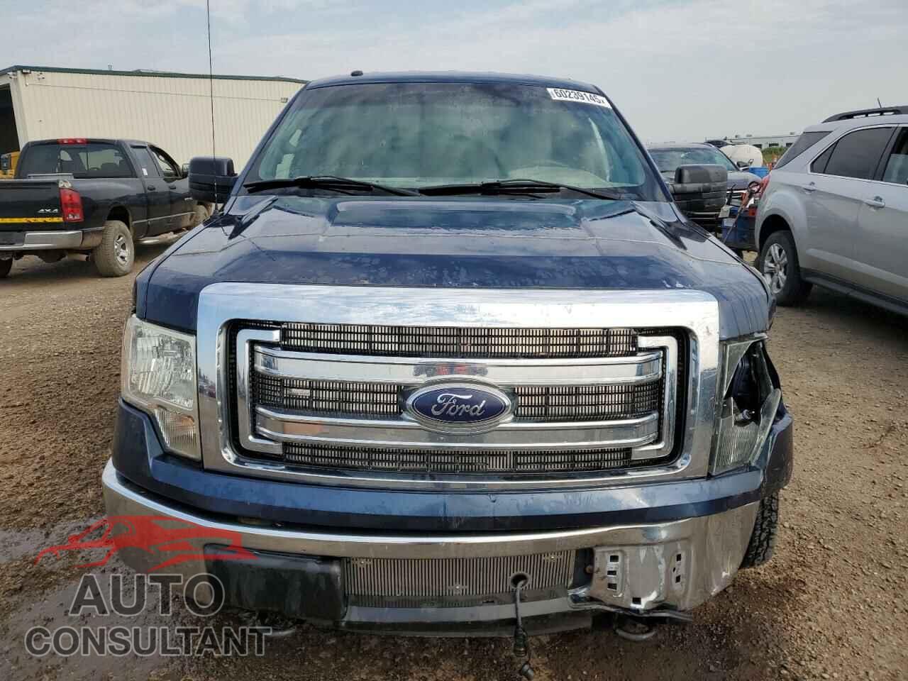FORD F-150 2013 - 1FTFX1EF1DFA82929