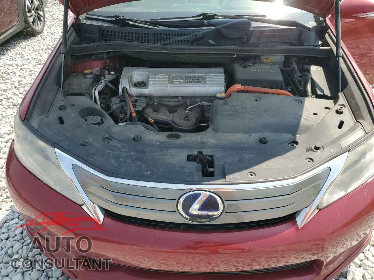 LEXUS HS 2010 - JTHBB1BA2A2021869