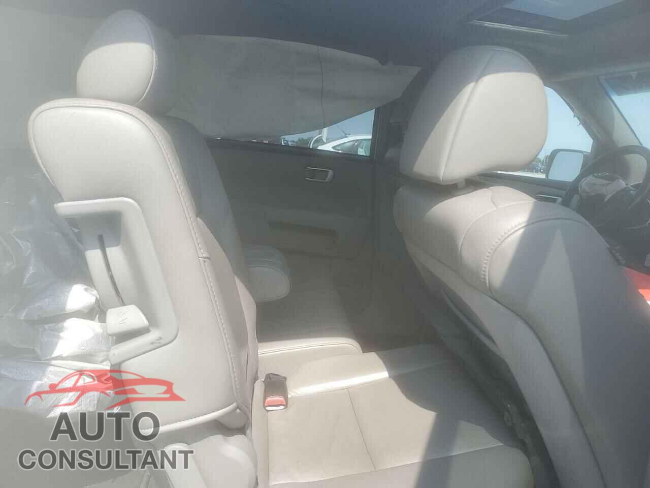 HONDA PILOT 2009 - 5FNYF38679B013693