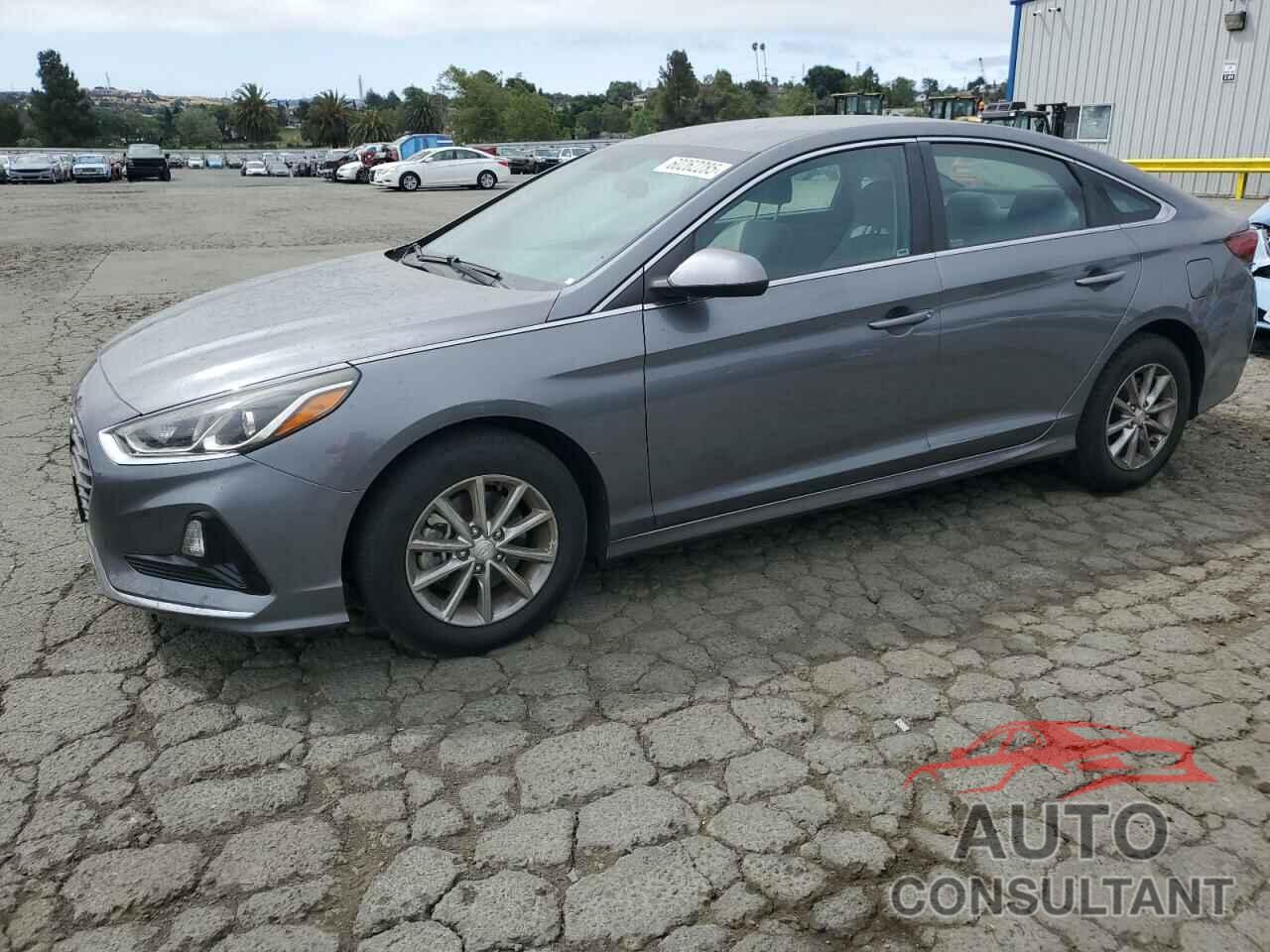 HYUNDAI SONATA 2019 - 5NPE24AF3KH791124