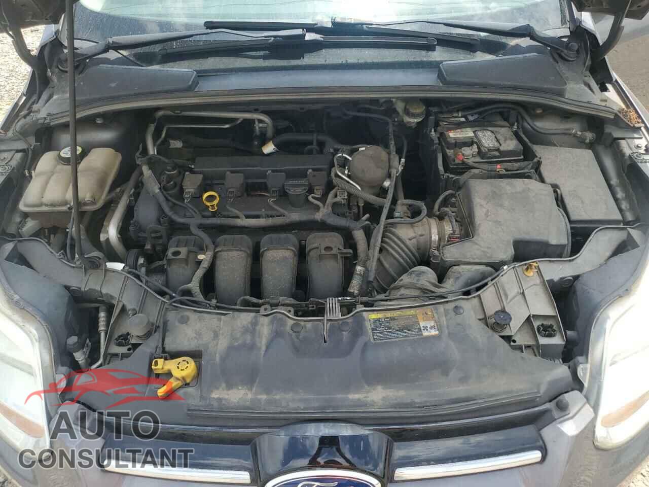 FORD FOCUS 2012 - 1FAHP3M21CL200731