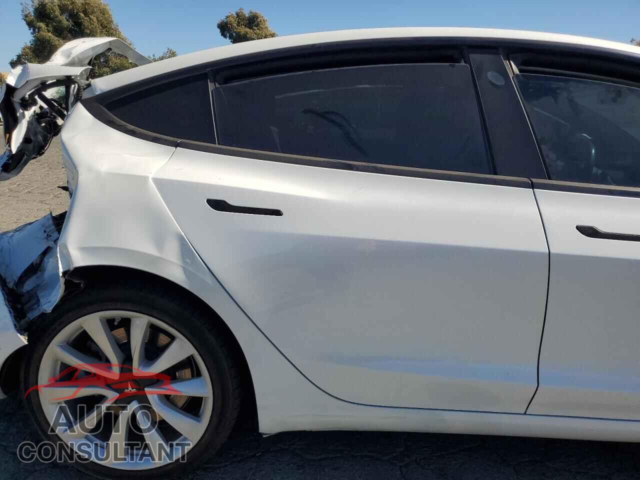 TESLA MODEL 3 2019 - 5YJ3E1EA8KF407557