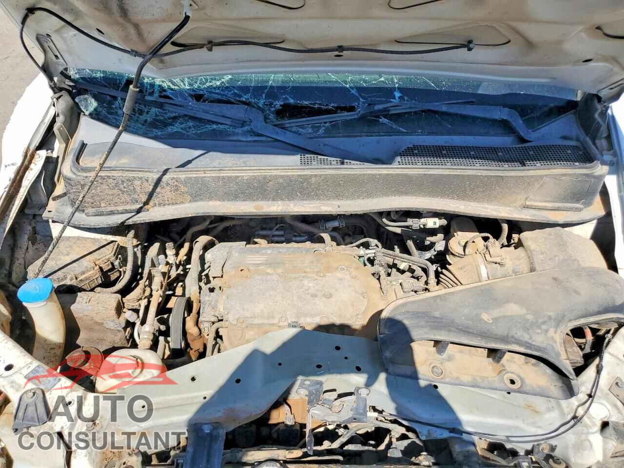 HONDA PILOT 2011 - 5FNYF3H52BB014943