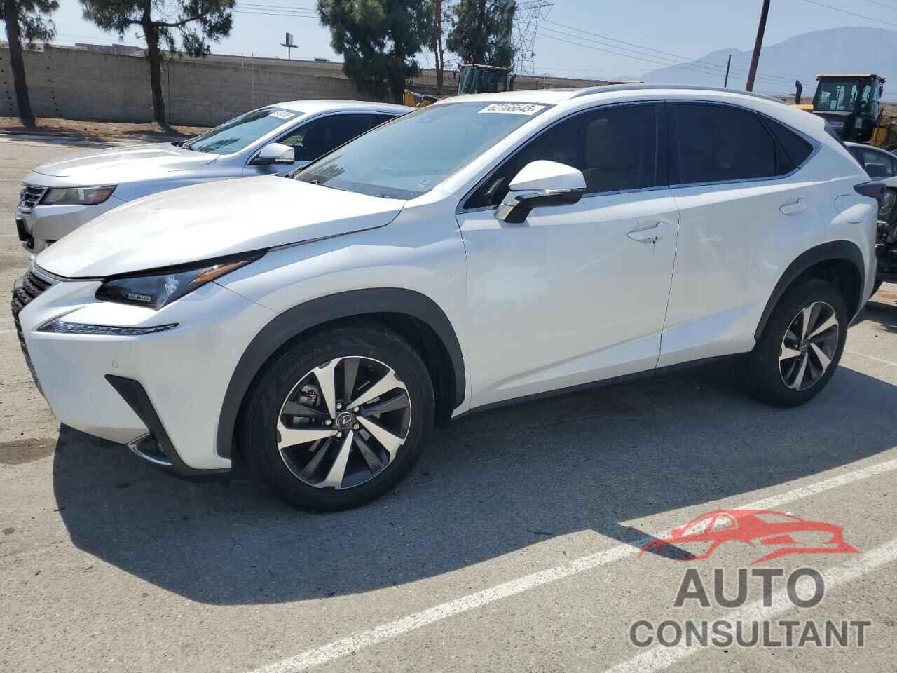 LEXUS NX 2020 - JTJDARBZ2L5004490