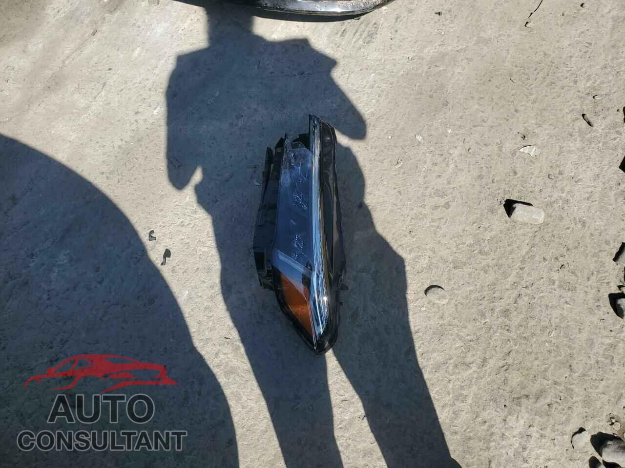 HONDA CIVIC 2022 - 2HGFE2F51NH545056