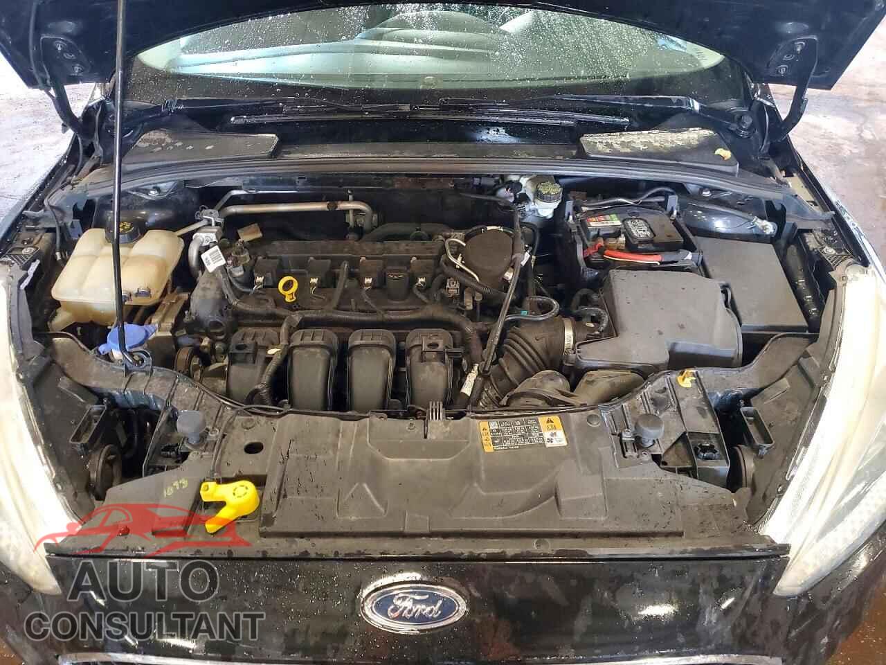 FORD FOCUS 2015 - 1FADP3F20FL268695