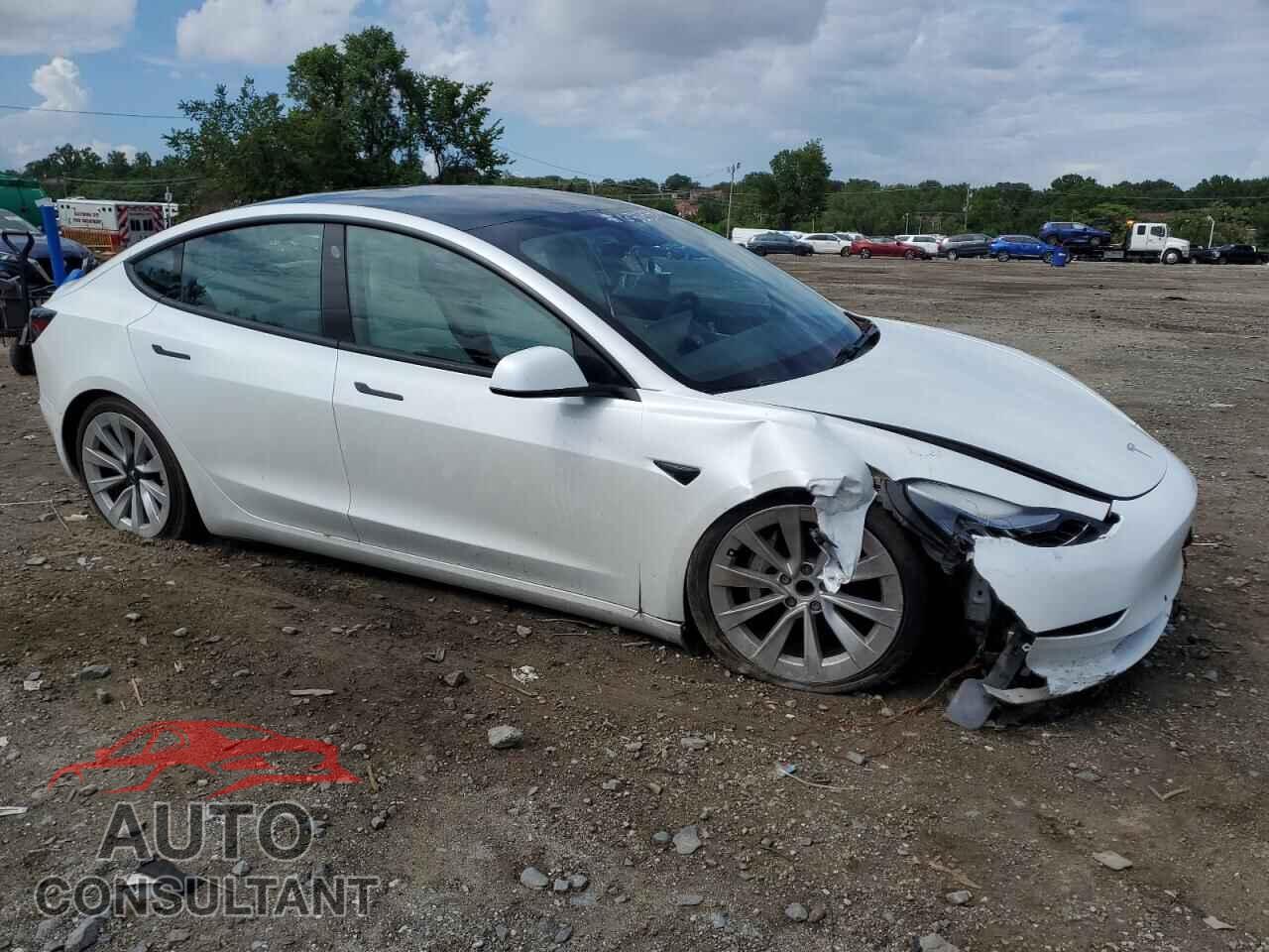 TESLA MODEL 3 2021 - 5YJ3E1EA9MF853395